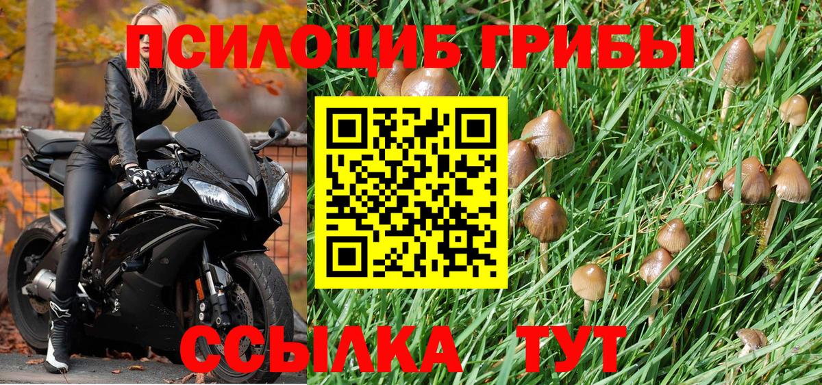 Галлюциногенные грибы GOLDEN TEACHER Домодедово