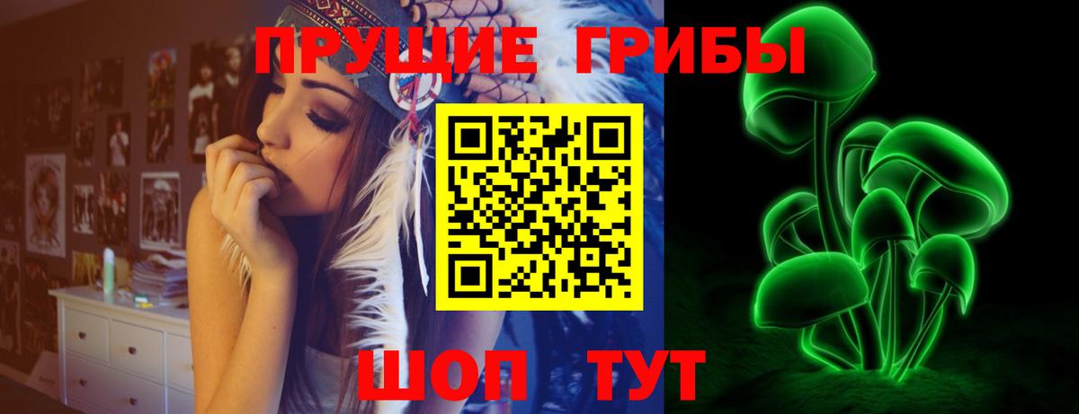 Галлюциногенные грибы прущие грибы  Вход с VPN  Домодедово 